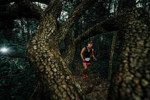 BIB: 
                            <button type="button" onclick="openModal(25699597)" class="btn btn-primary btn-sm float-right btn-popup" data-toggle="modal" data-target=".modal-high-quality">
                        <i class="fas fa-shopping-cart"></i> Add to Cart
                    </button>
                                            <button type="button" onclick="isThisMe(25699597, true)" class="btn btn-success btn-sm float-right btn-popup btn-isme hidden" data-toggle="tooltip" data-placement="bottom" title="นี่คือรูปของคุณใช่ไหม คลิกที่นี่เพื่อเอาเข้าอัลบั้ม">
                        <i class="fas fa-plus"></i> Add to album
                    </button>
                    <button type="button" onclick="isThisMe(25699597, false)" class="btn btn-warning btn-sm float-right btn-popup btn-isnotme hidden">
                        <i class="fas fa-ban"></i> Remove from album
                    </button>